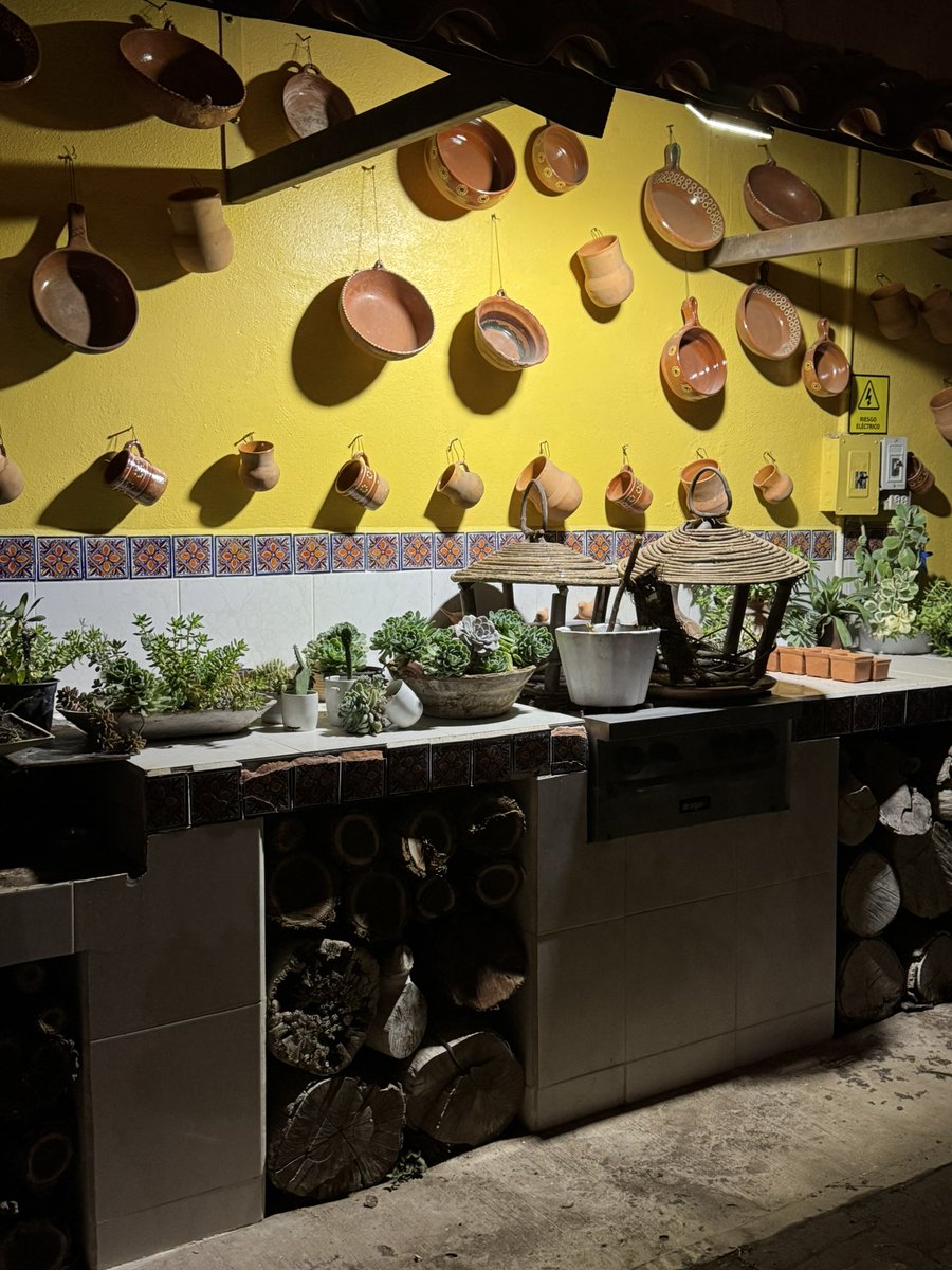 Chicanatravels's tweet image. Arrived late last night at our hotel during our mini road trip. It was so cute. The whole place was like a little magic oasis. 🥰 #rioverde #slp #mexico 🇲🇽 ❤️