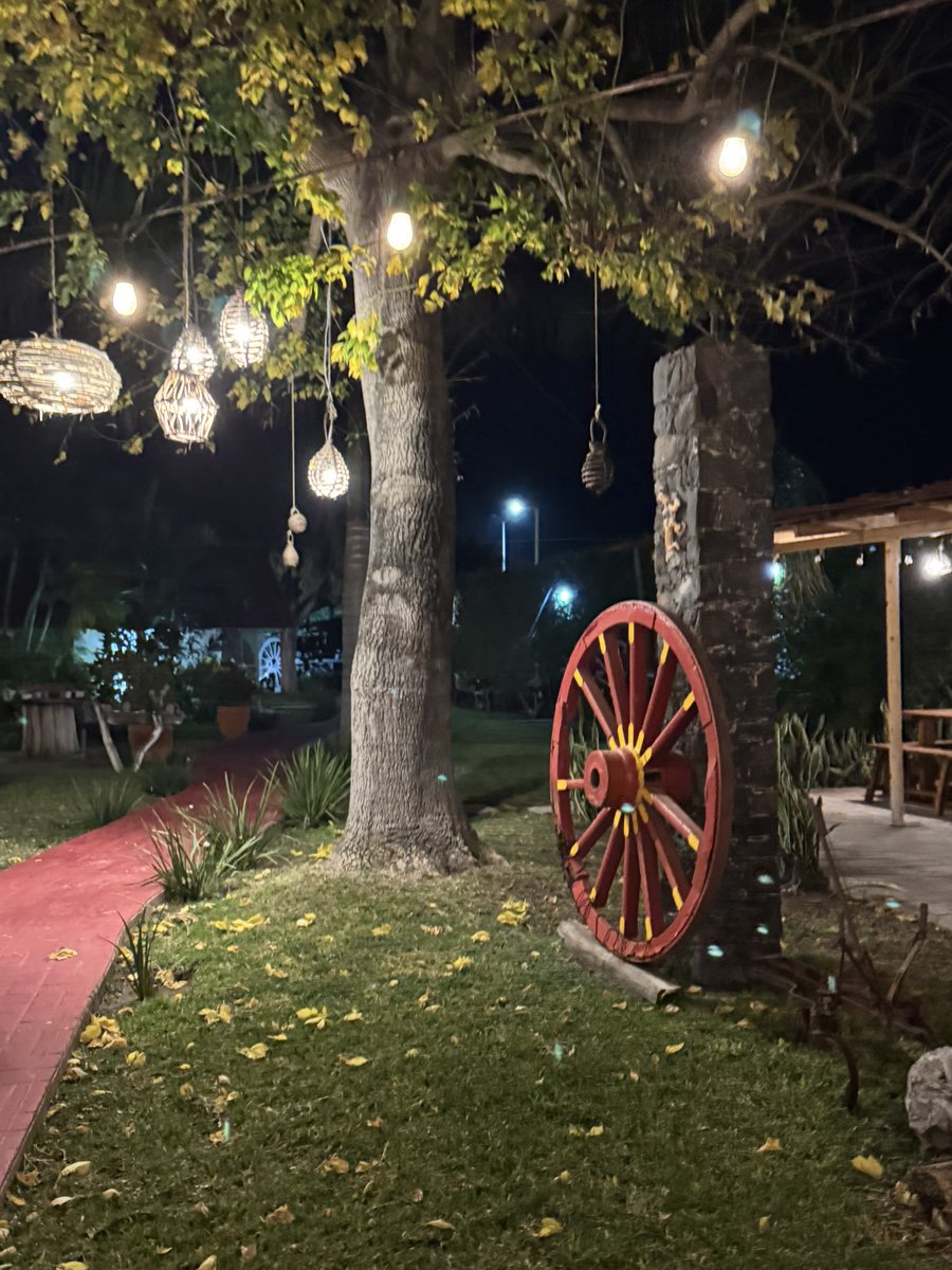 Chicanatravels's tweet image. Arrived late last night at our hotel during our mini road trip. It was so cute. The whole place was like a little magic oasis. 🥰 #rioverde #slp #mexico 🇲🇽 ❤️