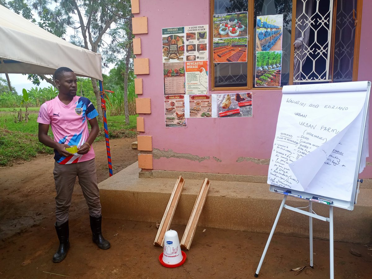 bengocentre's tweet photo. Mixed farming, 
Poultry farming session https://t.co/Z7nnwB8rYB