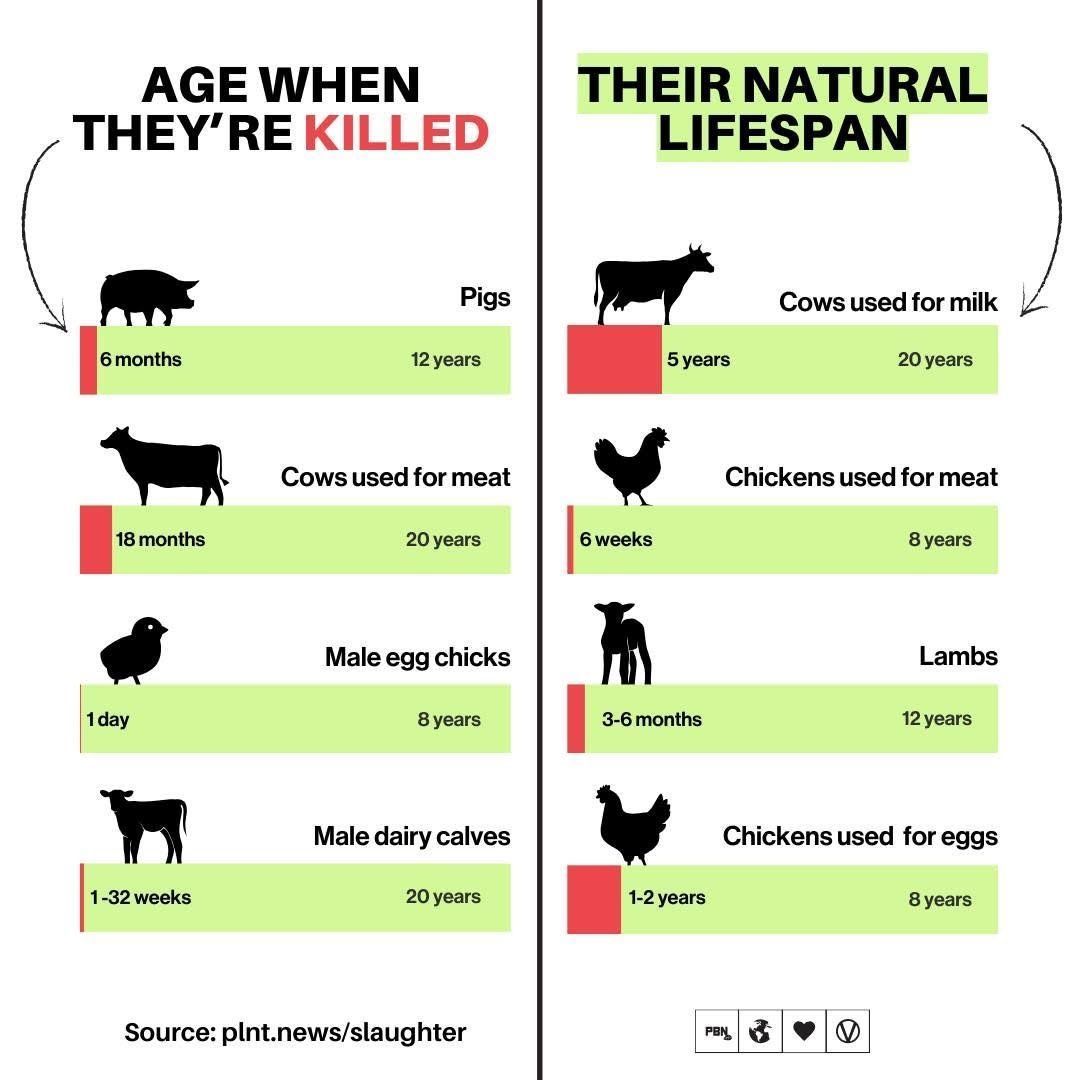 John Oberg tweet media