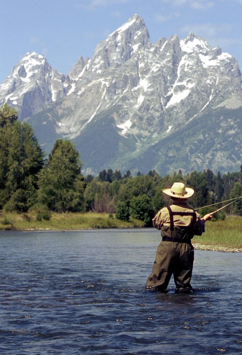 The Bull Moose Project tweet media