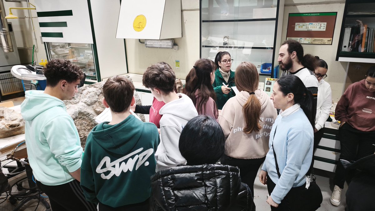 Dinópolis Teruel tweet media