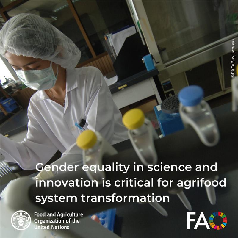 Food and Agriculture Organization tweet media