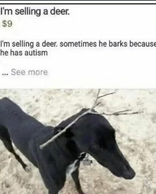 RealestMemes (@realestmemes_) on Twitter photo 