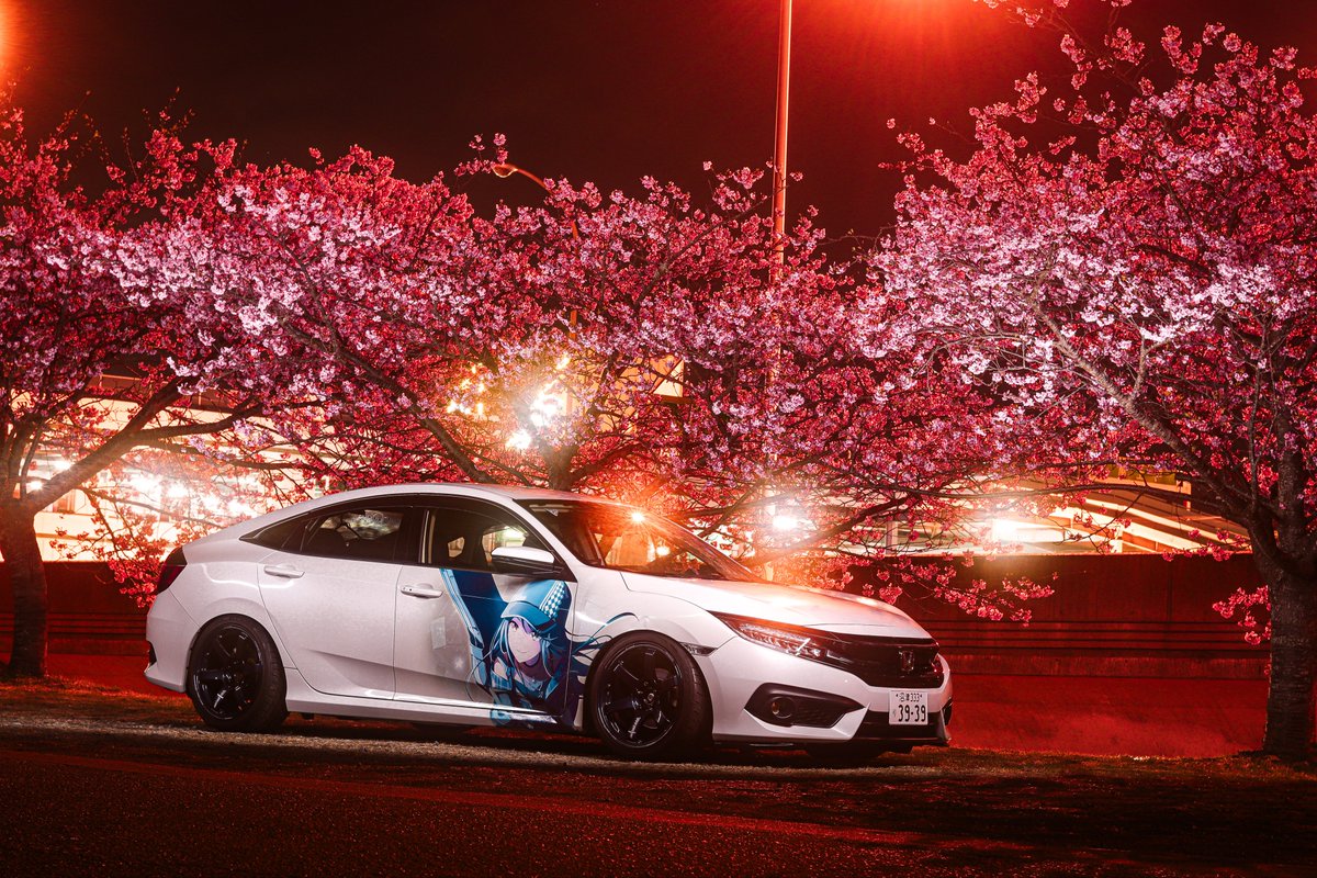 #寒いので桜の画像でTLを埋めよう
今年も撮りに行きたいね