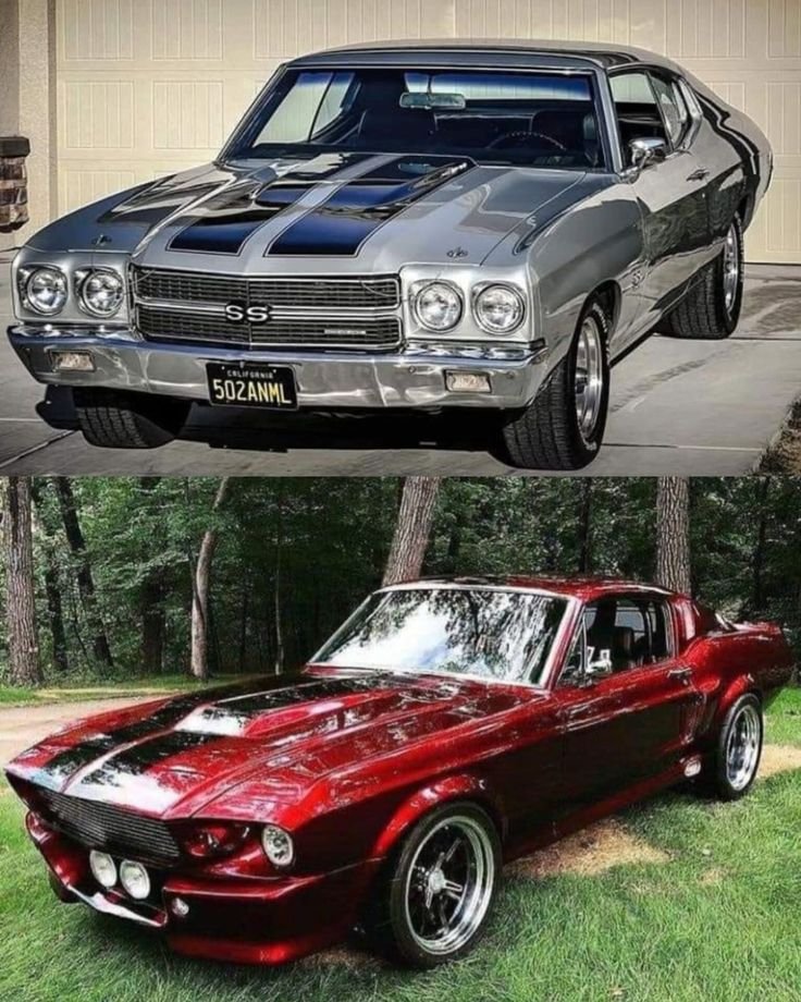 Vintage Cars Collection tweet media