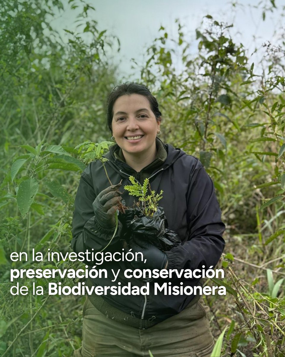 Instituto Misionero de Biodiversidad tweet media