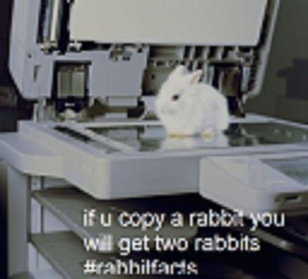 Socorro, mosquito mordeu minha bunda

Bom dia meu povo