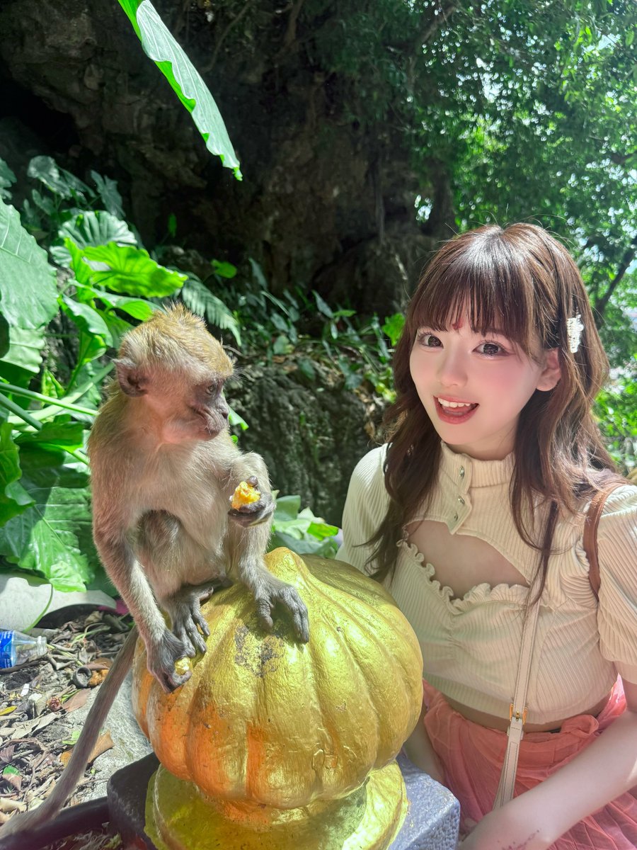 マレーシアでお猿さんに会えた🐒🛕🎶