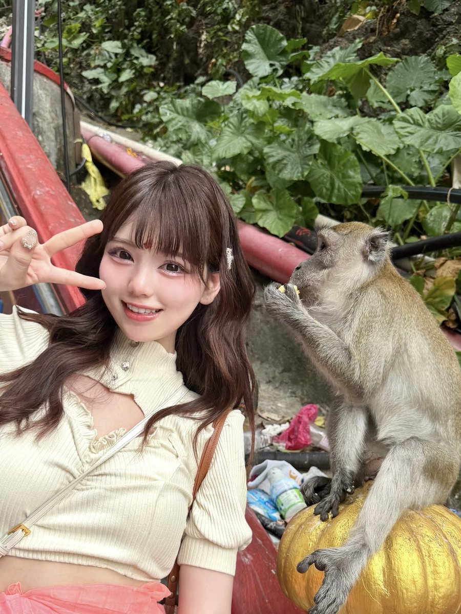 マレーシアでお猿さんに会えた🐒🛕🎶