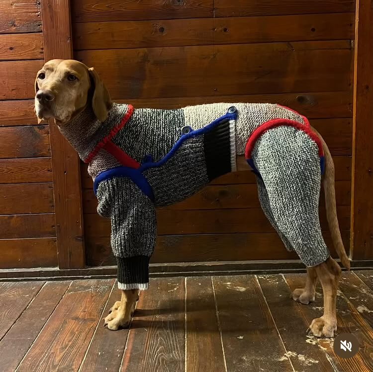 귀여운 편물 완벽한 핏