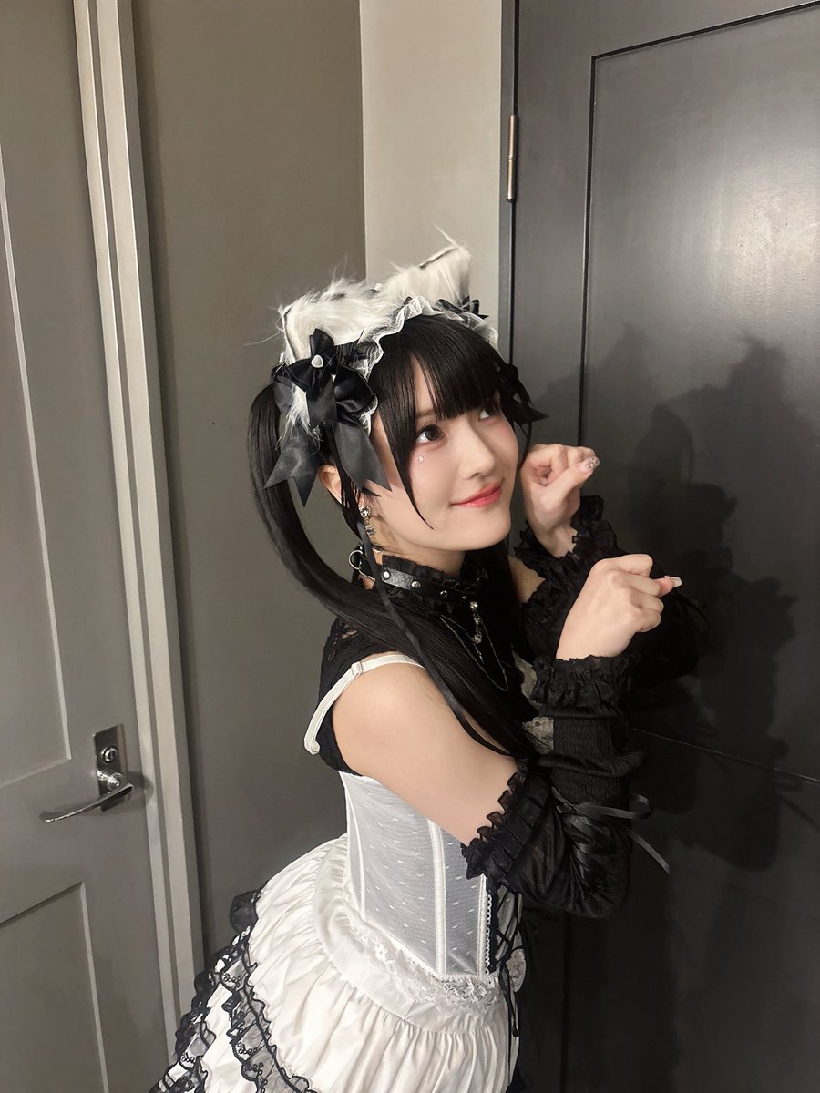 猫さん2(夜の部) #鈴木杏奈_黒猫Live