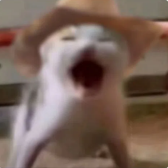 ALDUİN (✱,✱) tweet media