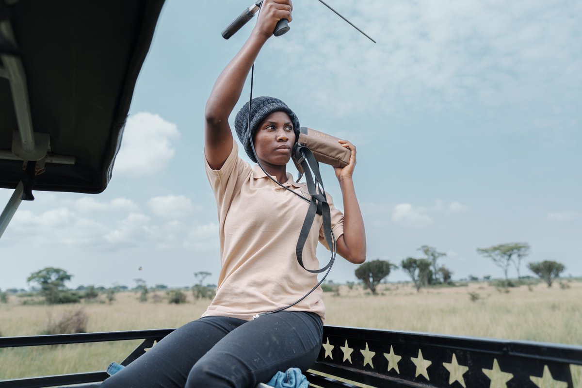 Volcanoes Safaris tweet media