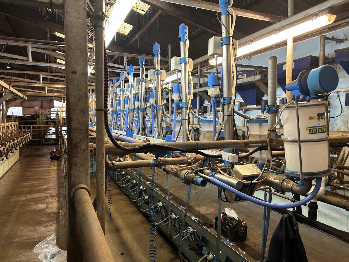 Andrew noblet tweet media