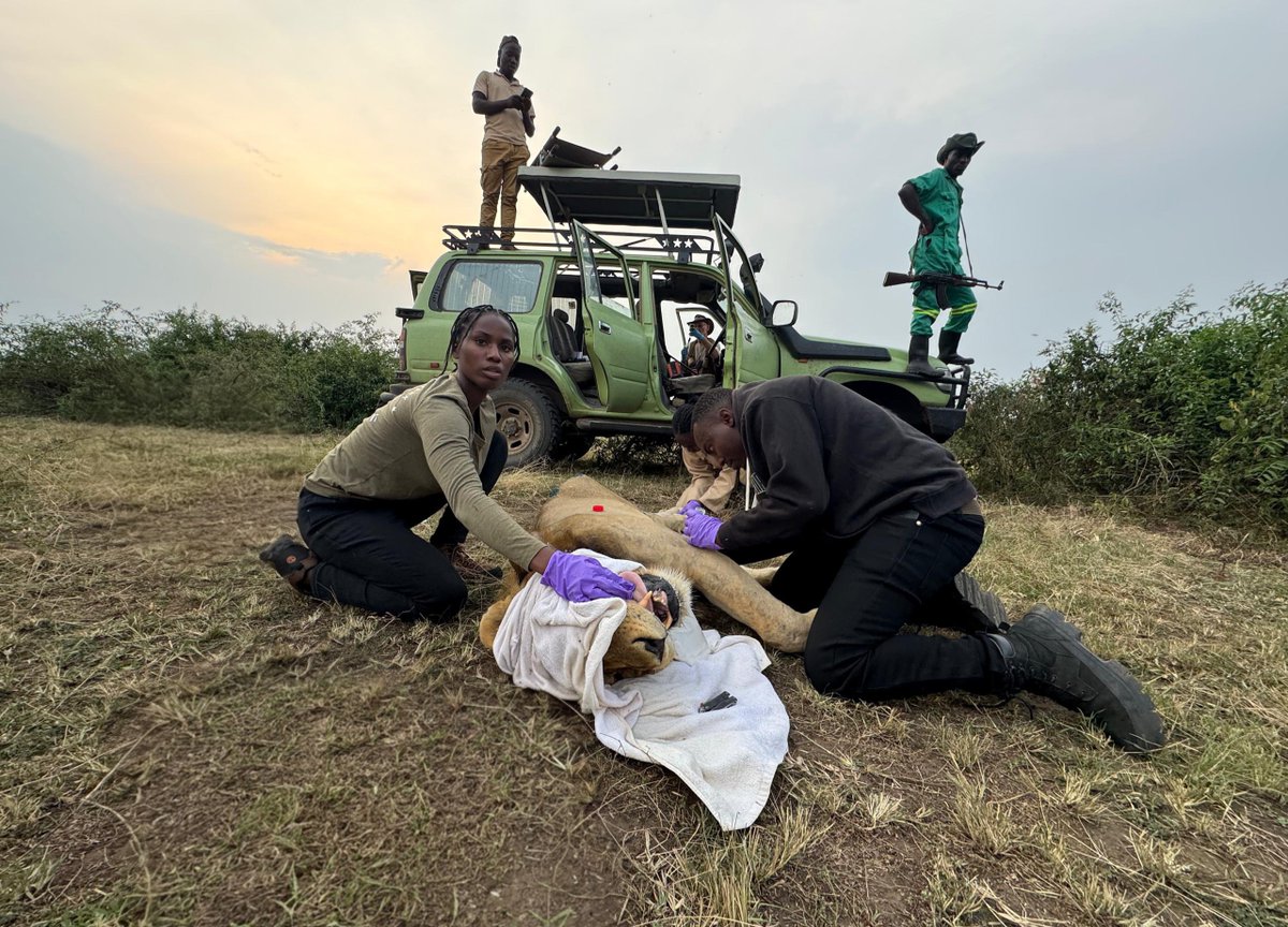 Volcanoes Safaris tweet media