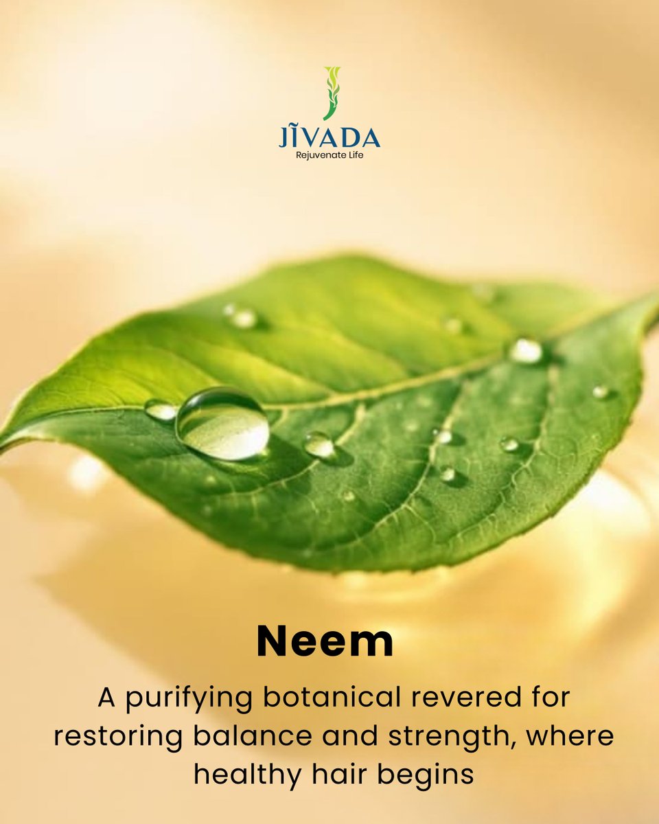 jivada_in's tweet photo. By day, your skin battles the world.
By night, Neem restores its balance. 🌿
In Jivada’s Ayurvedic Night Cream, Neem purifies, calms acne-prone skin, and supports overnight repair.
#NeemPower #Jivada #NightCream #Neurocosmetics #AyurvedaReimagined #CleanBeauty https://t.co/x6HYEw6itn