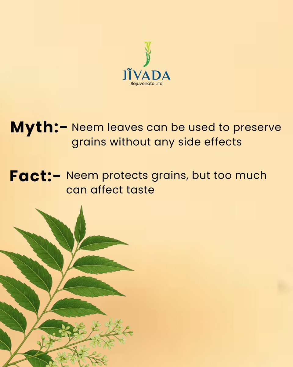 jivada_in's tweet photo. By day, your skin battles the world.
By night, Neem restores its balance. 🌿
In Jivada’s Ayurvedic Night Cream, Neem purifies, calms acne-prone skin, and supports overnight repair.
#NeemPower #Jivada #NightCream #Neurocosmetics #AyurvedaReimagined #CleanBeauty https://t.co/x6HYEw6itn