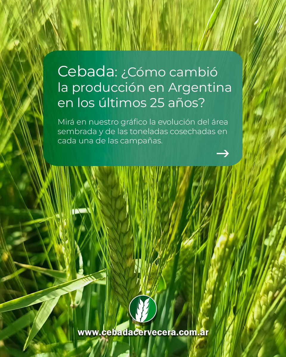 Cebada Cervecera tweet media