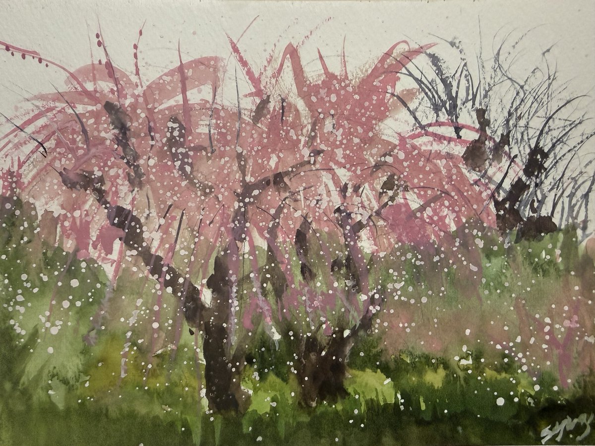 梅の木 透明水彩画 紙-混合パルプ ミューズホワイトワトソン水彩紙