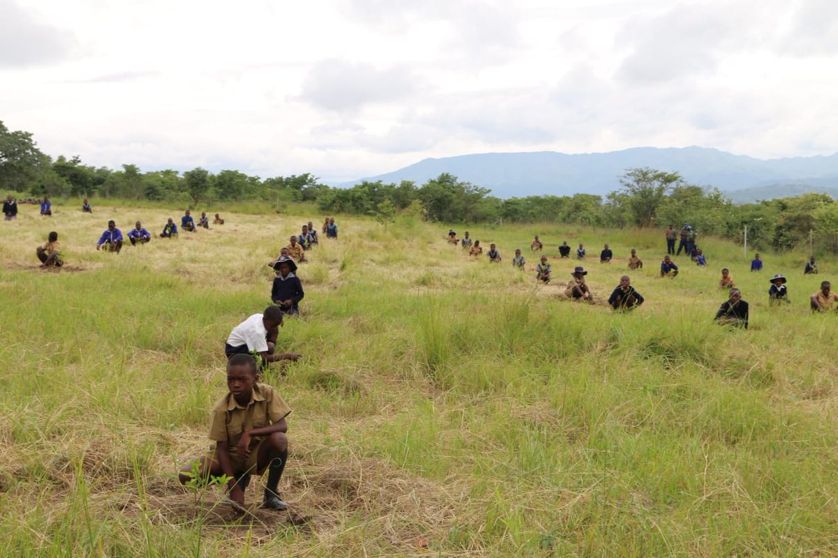 First Lady of Zimbabwe 🇿🇼 tweet media