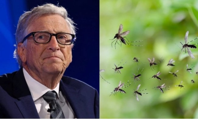 Reports online claim that modified mosquitoes tied to Gates-funded labs were released in Kenya, supposedly causing malaria cases to spike. The argument implies a direct link between malaria research efforts and worsening outbreaks. #Espteinfiles #njnbg #Fendi #ชลบุรีเขต1