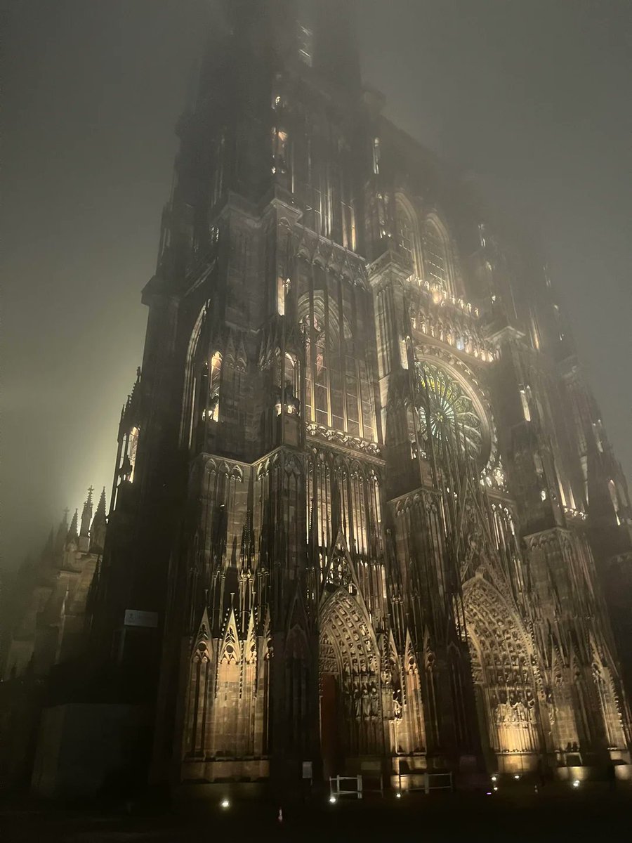 The Gothic is strong with this one.  

Strasbourg Cathedral was once the world's tallest building for over 200 years (1647-1874). It remains the tallest structure ever built entirely in the Middle Ages.