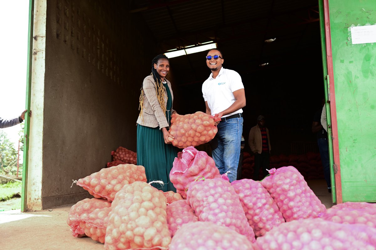 oneacrefundRW's tweet photo. Quality seed makes a strong foundation of farm productivity and resilience. Proud to share our 2025 seed milestones, we:
- Processed 4,272 MT hybrid maize &amp; 53 MT multigrain seed, reaching full processing plant capacity for the first time
- Produced 159 MT certified potato seed https://t.co/ekwx8CEydE