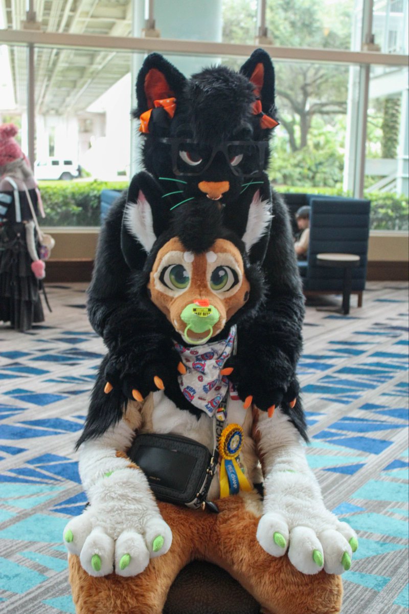 Chuckles Shep tweet media