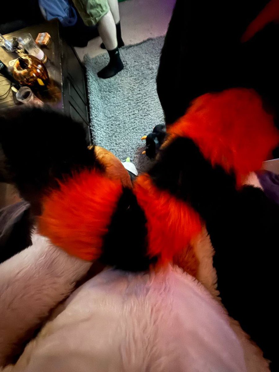 Chuckles Shep tweet media