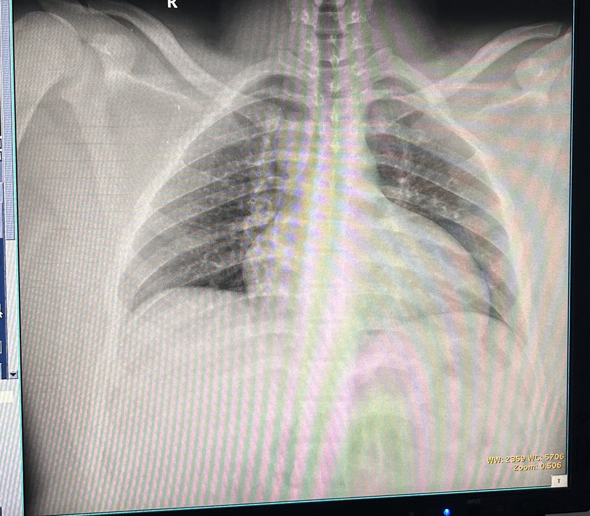 FARAH | ☢︎ tweet media