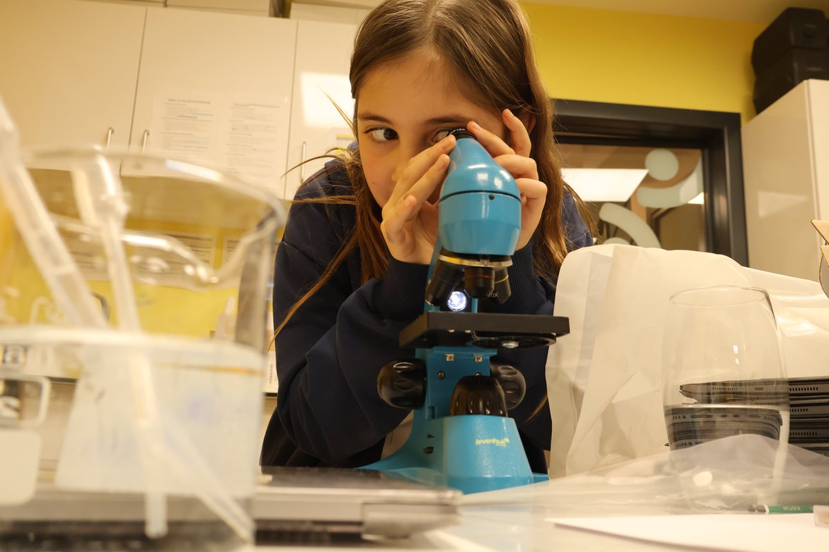 ecosySTEM Hub tweet media