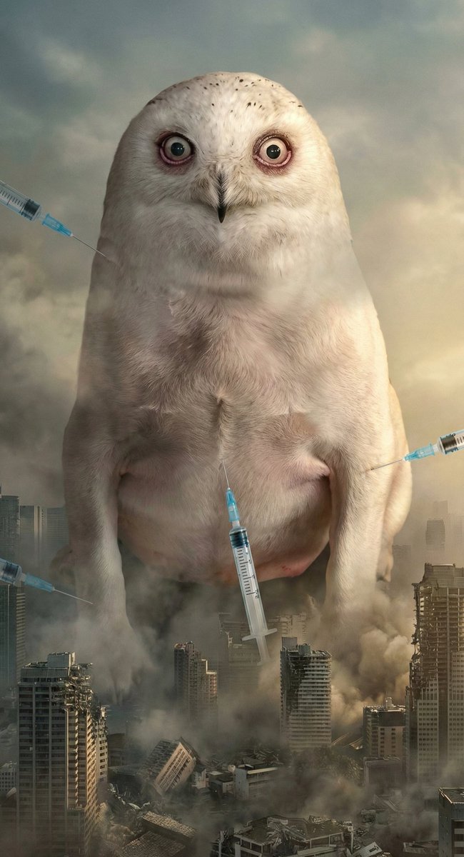 Bogani Crypto tweet media