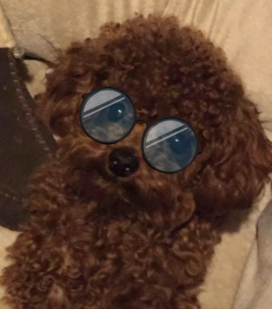 아ㅏㅏㅜㅜㅜ 똑같잖아♥︎♥︎
#Diamondnrk_