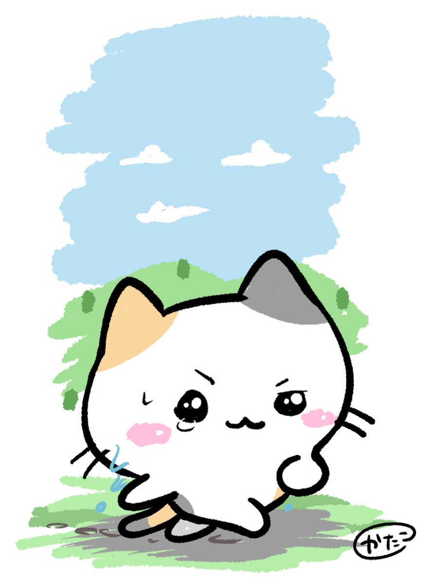 小さな一歩でも前に進めます🐾
少しずつでも前に進めます🐈