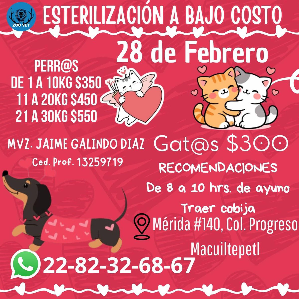 #esteriliza🐱🐶 #Xalapa 
<a href="/mageba04/">Gina alarcon</a> <a href="/Corintiacruz/">Corintia Cruz Oregón</a> <a href="/VialidadXalapa/">Vialidad Xalapa 🚦 VX 🌎</a> <a href="/AbelMucino/">Abel Muciño</a> <a href="/tierraverde1943/">ℓια ₊˚.༄ *ﾟ🌱</a> <a href="/pilykuera/">Pily Peregrina</a> <a href="/CECILLIA36/">CECILIA MENDEZ</a> <a href="/sara_juarez/">saraliz</a> <a href="/Ydlan/">Naldy Patricia</a> <a href="/fherciencias/">Soy Fher!</a> <a href="/camellinlove/">Porque soy xalapeño</a> <a href="/ArrezEdda/">Edda Arrez</a> <a href="/PopColorsXal/">PopCX</a> <a href="/RoxanaAAT/">Feto de PicaFresa🍓</a> <a href="/penelopemoncayo/">Penélope Moncayo.</a> <a href="/rociosaiz/">Rocio Saiz</a> <a href="/Pechmed/">Peter Tweet</a> <a href="/mayteponm/">Mayte P.</a> <a href="/marinavera100/">Marina Vera</a> <a href="/danielfcarrion/">Daniel Fernández Carrión</a>