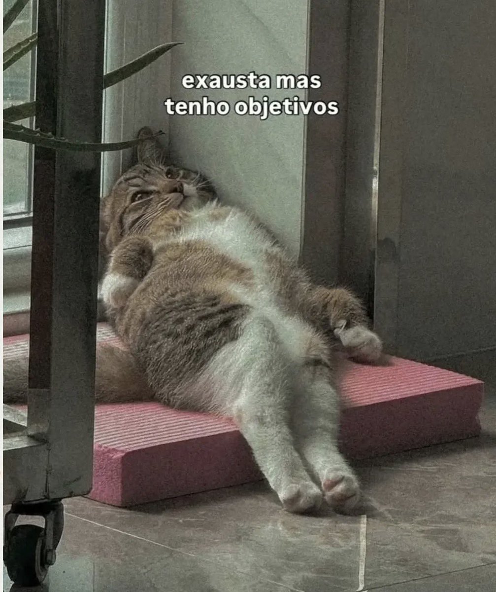 pantynova (@pantynova) on Twitter photo 