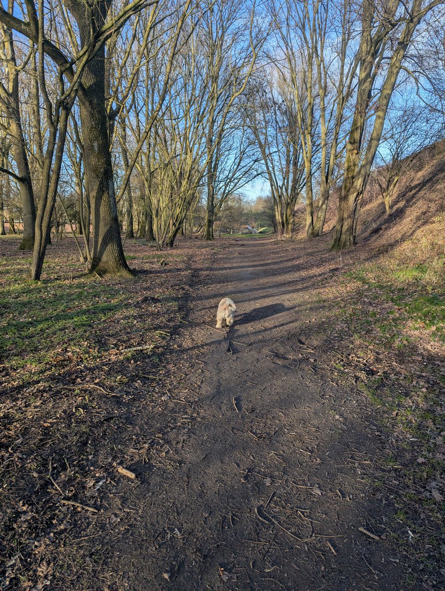 In het kader van je weet nooit hoe een koe een haas vangt ook maar weer hier.

Mijn huurcontract van 2 jaar loopt 1 mei af. Ik zoek een nieuw huisje. Locatie niet super belangrijk, ov wel. Minimaal 1 slaapkamer en natuurlijk moet het hondje mee mogen. Op naar een volgende fase