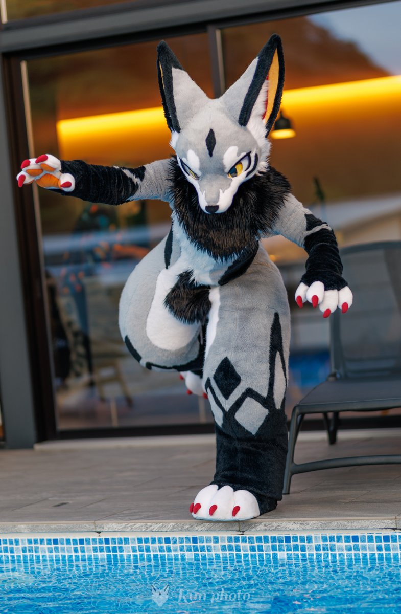 るん (Run) (@run_charizard) / Posts / X