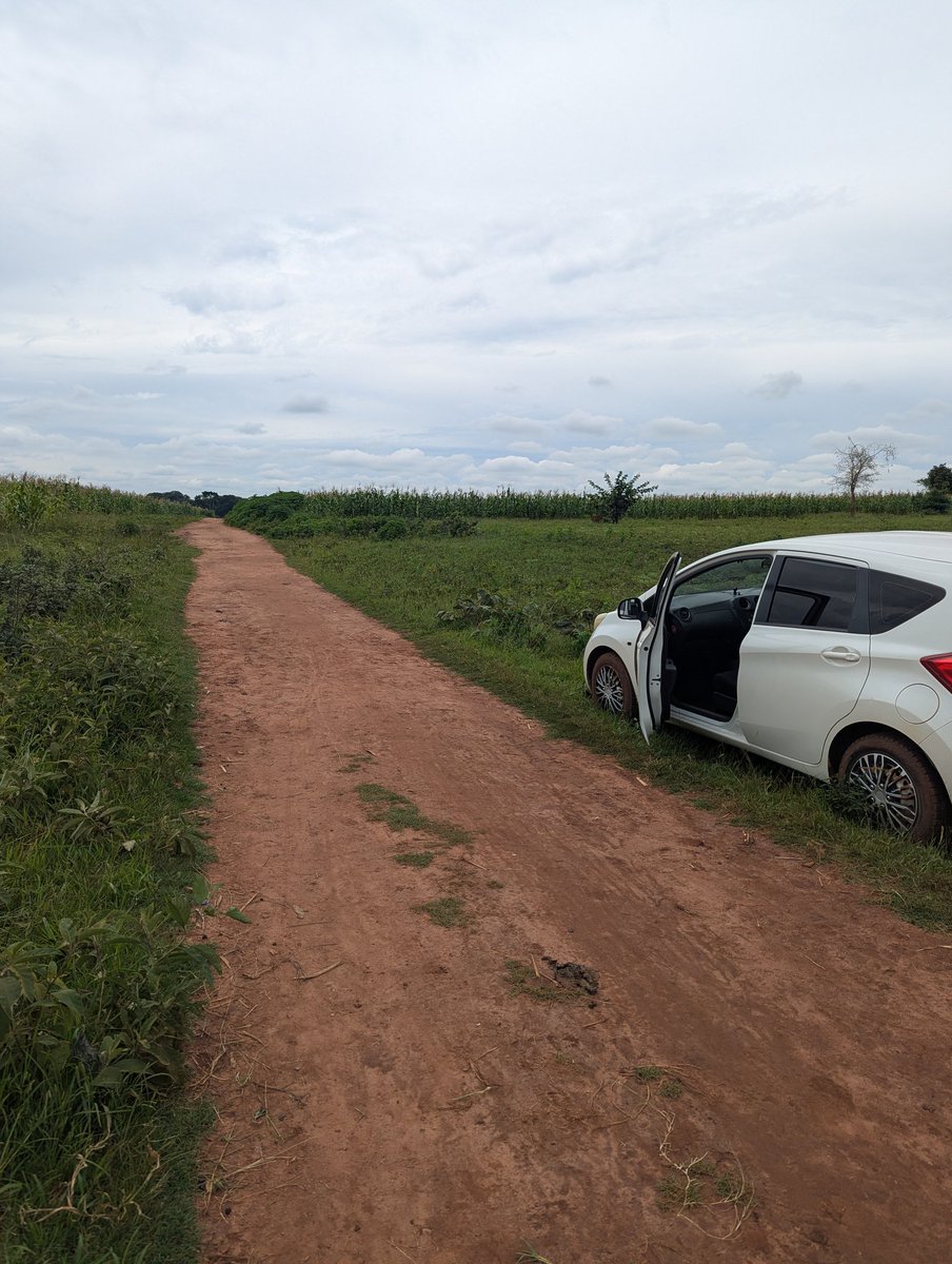 El_Casedo's tweet image. Kwanu sikutalika  koma kwa eni✍️... Chiseka #LL🇲🇼