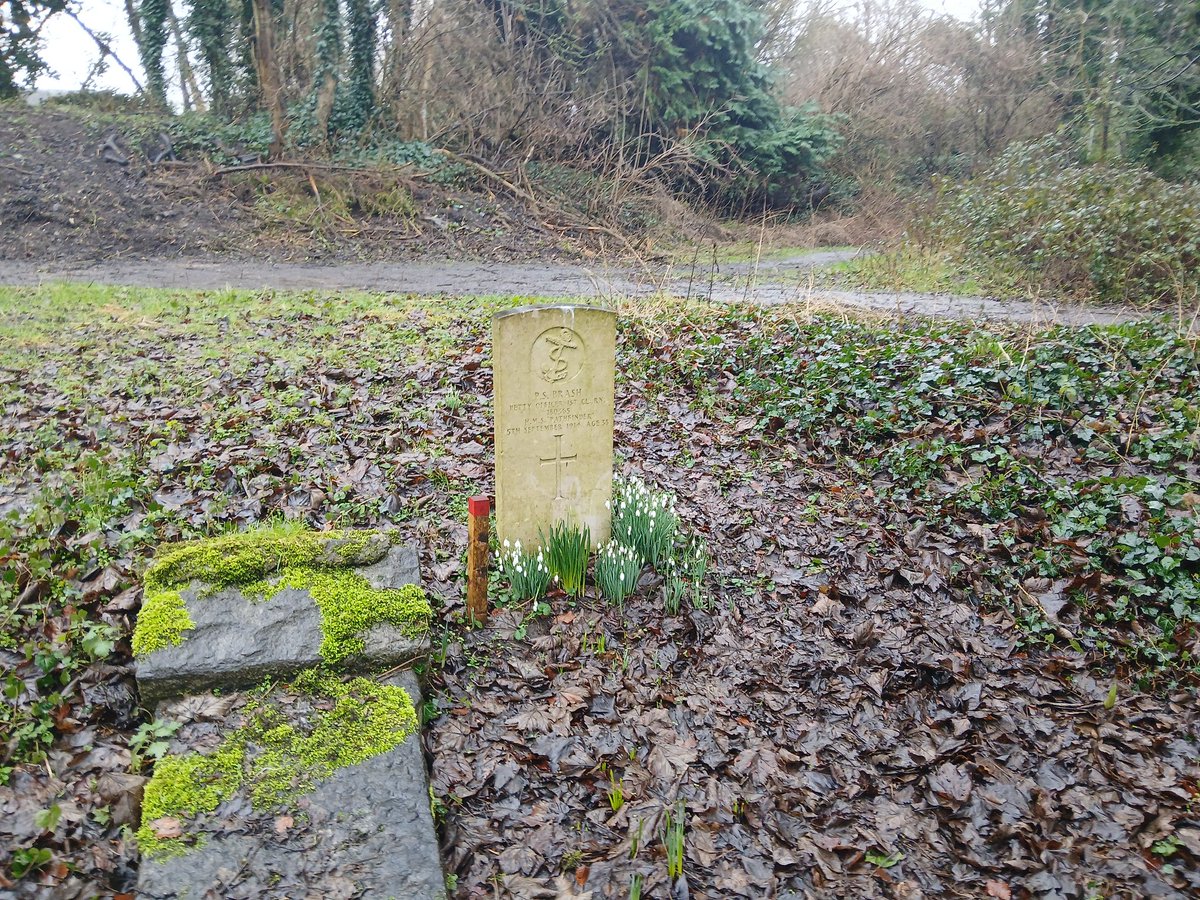 Iain Anderson tweet media