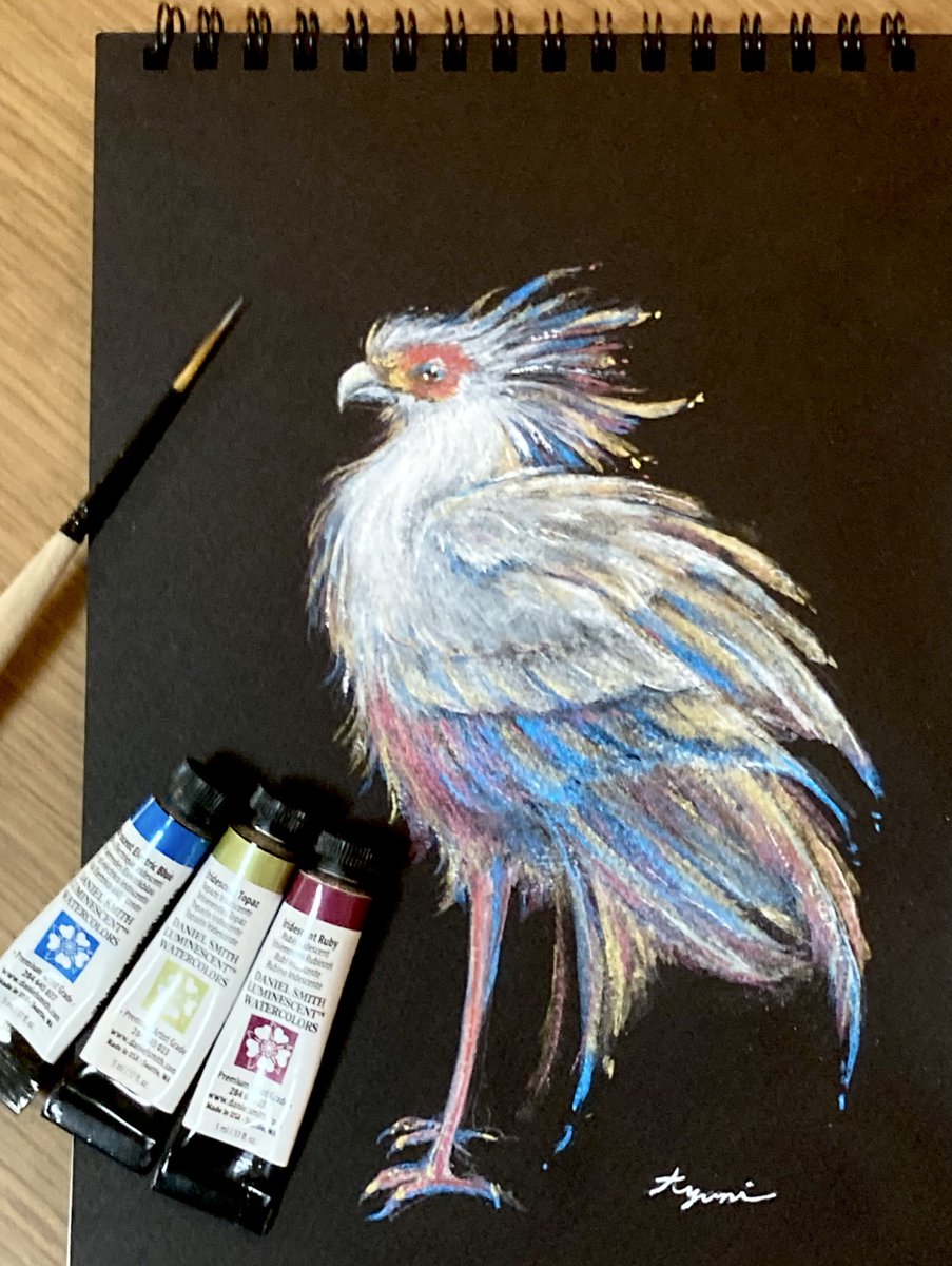“ヘビクイワシ”
#ダニエルスミス水彩絵の具
