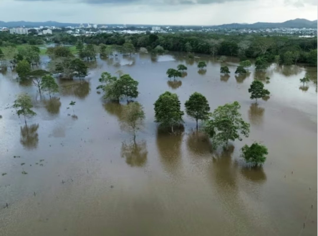La naturaleza no comete "errores"
