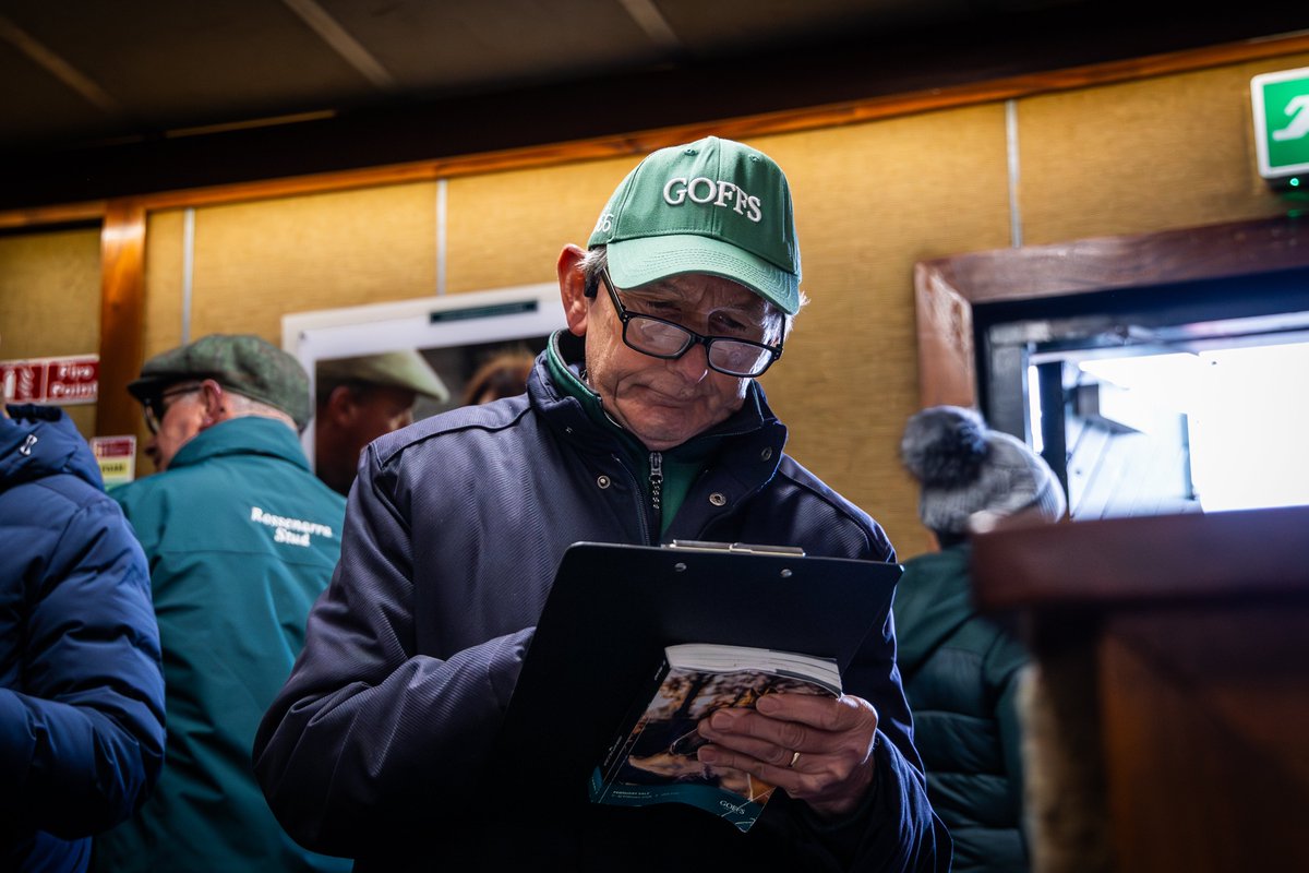 The hammer falls the way of Glenvale Stud at €80,000 for Lot 42 from <a href="/TheCastlebridge/">The Castlebridge Consignment</a>, a cracking colt from the first crop of <a href="/coolmorestud/">Coolmore</a>'s Paddington

#GoffsFebruary