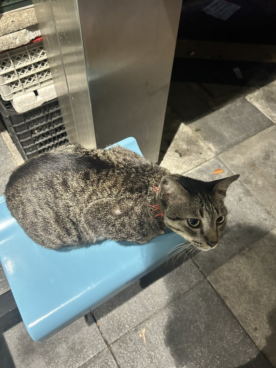 เราเเบ่งกันนั่งได้มั้ย