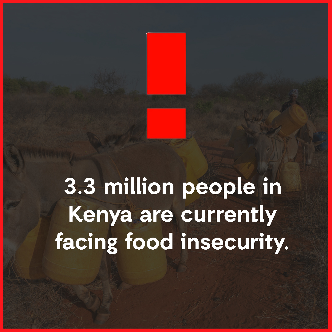 ActionAid Kenya tweet media