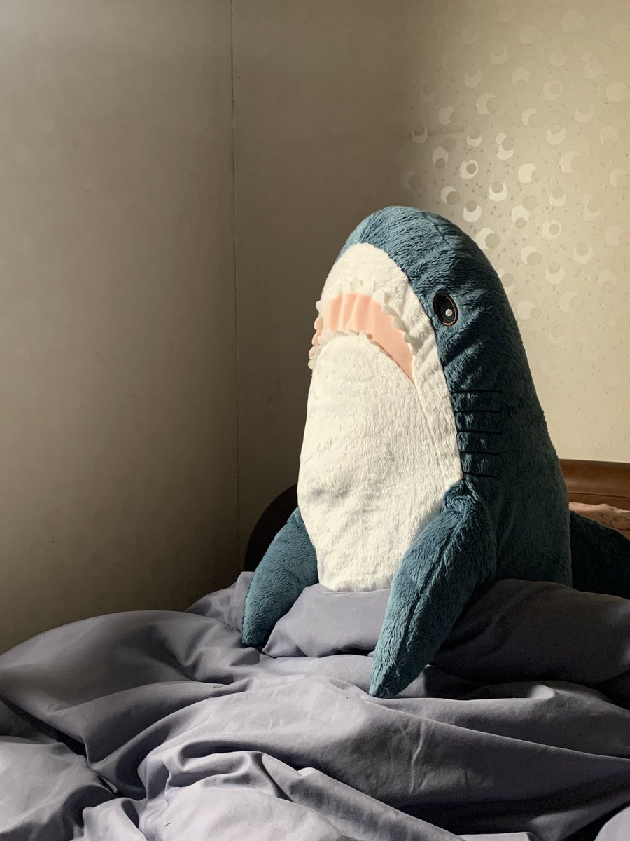 狐ヶ崎しゅらん420/現代のコンピュー tweet media