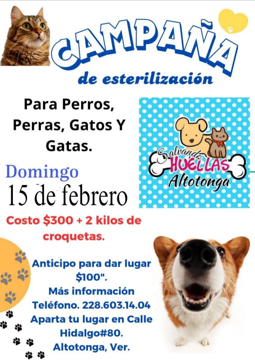 #Cosoleacaque #Altotonga #Esteriliza🐱🐶
<a href="/mageba04/">Gina alarcon</a> <a href="/Corintiacruz/">Corintia Cruz Oregón</a> <a href="/VialidadXalapa/">Vialidad Xalapa 🚦 VX 🌎</a> <a href="/AbelMucino/">Abel Muciño</a> <a href="/tierraverde1943/">ℓια ₊˚.༄ *ﾟ🌱</a> <a href="/pilykuera/">Pily Peregrina</a> <a href="/CECILLIA36/">CECILIA MENDEZ</a> <a href="/sara_juarez/">saraliz</a> <a href="/Ydlan/">Naldy Patricia</a> <a href="/fherciencias/">Soy Fher!</a> <a href="/camellinlove/">Porque soy xalapeño</a> <a href="/ArrezEdda/">Edda Arrez</a> <a href="/PopColorsXal/">PopCX</a> <a href="/RoxanaAAT/">Feto de PicaFresa🍓</a> <a href="/penelopemoncayo/">Penélope Moncayo.</a> <a href="/Pechmed/">Peter Tweet</a> <a href="/mayteponm/">Mayte P.</a> <a href="/marinavera100/">Marina Vera</a> <a href="/rociosaiz/">Rocio Saiz</a>