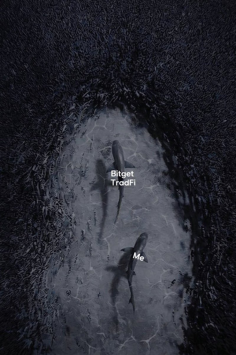 Where liquidity moves,
opportunity follows.

#BitgetTradFi shows the direction. 🦈