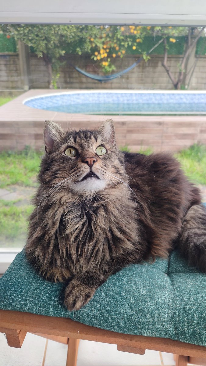 Av.Hilal Güngör tweet media